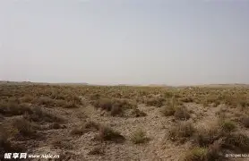 开云- 柔道女子78公斤级马振昭战胜对手获得铜牌 